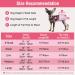 PET Soft Dog & Cat Diapers - 20 Disposable High-Suction Diapers for Bitches with Adjustable Tail Hole | S Size - Buy Online on GoSupps.com