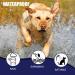 Adjustable Natural Flea and Tick Collar for Dogs | 63cm Protection for Small Medium & Large Pets - International Shipping - Buy Online on GoSupps.com
