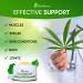 ZenRenu Organic Hemp Cream 4 oz - MSM Turmeric Arnica - Made in USA - Premium Hemp Oil - Buy Online on GoSupps.com