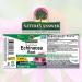 Echinacea Extract | Immune Support | Vegan, Gluten-Free, Non-GMO | 2oz - Nature's Answer - Buy Online on GoSupps.com