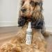 Anicura Natural Dog Spray for Dry, Itchy Skin, Eczema, Dermatitis & Allergies - Buy Online on GoSupps.com