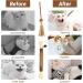 Buy Tao Pipe Catnip Sticks - 6 Interactive Matatabi Chewing Toys for Dental Care & Fresh Breath - Safe Silver Vine Sticks for Cats - Buy Online on GoSupps.com