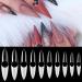 AORAEM Stiletto Nail Tips - 1000Pcs Acrylic False Nails Set with Bag (Short Clear+Natural) - Buy Online on GoSupps.com