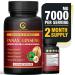Nootamin Naturals Authentic Korean Red Panax Ginseng 7000mg + Ginkgo Biloba + Ashwagandha for Energy, Strength, Focus, Memory and Mental Performance for Men and Women 60 Vegan Capsules