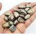 Sharvgun Lot de 25 pierres runiques en pyrite dor e avec tableau en bois MDF runique grav lettrage symbolique pa en velours noir/rouge pochette incluse bo te cadeau - Buy Online on GoSupps.com