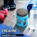 Evolite Nutrition Creatine Monohydrate 500g - Blueberry Flavor Creatine Powder for Pre Workout Boost - Premium Quality Creatine with Taurine - Buy Online on GoSupps.com