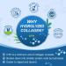 Multi Collagen Softgels for Women & Men 120 Capsules - Type I II III V X Hydrolyzed Collagen w/Vitamin C & Hyaluronic Acid - Supports Skin Hair Nails Joints - Grass-Fed Non-GMO 2 Pack 60 Count (Pack of 2) - Buy Online on GoSupps.com