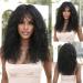 Testar black curly wigs for black women shoulder -length deep wavy wig with pony medium -length heat -resistant synthetic cosplay wig for daily party use