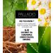 Palladio Under Eyes Disguise Full Coverage Concealer - Green Tea 0.35 oz - Buy Online on GoSupps.com