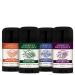 American Provenance All Natural Deodorant for Men - Aluminum Free Deodorant for Men that Lasts All Day - Made in the USA with Essential Oils & Cruelty Free - Herbal & Woodsy (Variety 4 Pack) Herbal & Woodsy (4)