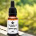 Canker Sore Treatment Serum - Effective Mouth Ulcer Relief (30 mL) - Buy Online on GoSupps.com