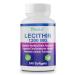 Safrel Lecithin 1200 mg Softgels (240 Count) | High Potency Quick Release Non- GMO Supplement | Promotes Brain & Cardiovascular Health | Aids in Cellular Activities and Lactation