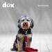DDOXX Airmesh Dog Leash - 2m 3-Way Adjustable for All Sizes - Red XS (1.5 x 200 cm) - International Shipping Available - Buy Online on GoSupps.com