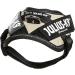 Buy IDC Powerharness 2XS/Baby 2 - Beige | Perfect Fit for Your Little One | International Shipping Available - Buy Online on GoSupps.com