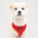 Puppia Soft Dog Harness II for Small & Medium Dogs - Comfortable & Adjustable - Red M - Buy Online on GoSupps.com