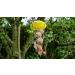 Grumpy Gardener 4kg Box of Deluxe Mix Fat Balls ( 50 Fat Balls per Box). Packed full of tasty cereals oils fats seeds and minerals that your feathered friends will love. - Buy Online on GoSupps.com