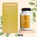 Slimingsol 10-in-1 Active Formula - High-Dose Green Tea Extract Capsules with Garcinia Cambogia Guarana L-Carnitine & Vitamin C - 60 Vegan Capsules for Weight Loss & Energy - Buy Online on GoSupps.com