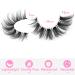 Kiromiro 15mm Cat Eye False Eyelashes - Natural Wispy Russian D Curl Lashes with Clear Band - Extension Strip Pack - Buy Online on GoSupps.com