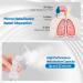 Boryan Deluxe Ultrasonic Nebulizer Machine for Adults and Kids - Portable Breathing Treatment with Tubing and Mouthpiece Kit - Buy Online on GoSupps.com