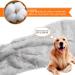 Bojafa Squeaky No Stuffing Dog Toys - 2 Pack Plush Soft Dogs Toy Indestructible For Small Medium Large Dogs Durable Tough Puppy Toys Bundle Cuddly Chew Proof Pet Toys - Buy Online on GoSupps.com
