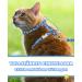 Supet Adjustable Cat Dishes Set for Large & Small Cats - Cat Leash & Dishes for Walking - Blue (Chest Size: 25.5-40.5cm) - Buy Online on GoSupps.com