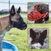 Muzzle for Dogs - Breathable & Comfortable for Small to X-Large Breeds - Stops Biting Barking & Chewing - Ideal for Aggressive Dogs - Red - Buy Online on GoSupps.com