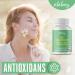 VITABAY OPC Grape Seed Extract 1000mg - High-Dose Time-Release Capsules - 120 Count for Optimal Antioxidant Support - Buy Online on GoSupps.com