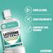 Listerine | Naturals Enamel Protection Mouthwash Lighter Taste (500 ml bottle) Daily Mouthwash with Essential Oils Alcohol and Dye Free Oral Care - Buy Online on GoSupps.com