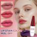 CHAKAE Long Lasting Matte Liquid Lip Gloss - For Women and Girls - Smooth Application - Buy Online on GoSupps.com