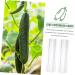 Parliky 3pcs Vegetable Shaping Mold Flower Shape Strawberry As Shown 20x6cm - Buy Online on GoSupps.com