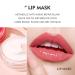 Bekoeen 3-Piece Lip Care Set: Exfoliator Lip Sugar Scrub, Lip Mask, Plumping Lip Oil - Moisturizing and Repairing Dry Lips Treatment - Buy Online on GoSupps.com