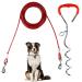EFUTURTETIME PLUTION FOR DISCHES LICE with dog leash 9m base piral dog floor anchor herring for outdoor camping or farms ideal for small to large dogs