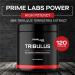 Prime Labs Power High Potency Tribulus Terrestris Extract - 95% Saponins - 1300mg Concentrated Formula - Men & Women Support - 120ct - Buy Online on GoSupps.com