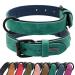 Didog dog collar made of soft padded leather hard-wearing leather dog collar with adjustable stainless metal buckle for small medium-sized and large dogs green XL XL: 40-50 cm green