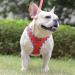 Doramio Dog Harness for Small Dogs | Reflective Breathable & Safe | Includes Leash | Perfect for Cats | Size L - Red - Buy Online on GoSupps.com