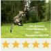 Felimove Motion 3 SPAR-PACKET - Glucosamine & Herbal Support for Cats | Veterinary Supplement for Mobility Issues | Shipping Worldwide - Buy Online on GoSupps.com