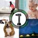 Cordless Hair Dryer Portable Blowing Hot & Cold Hair Dryer Wireless Hair Dryer USB can be Reversely Charged - Buy Online on GoSupps.com