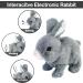 ZBATHTOY Interactive Walking Rabbit Toy for 1-6 Year Old Kids - Electronic Plush Rabbit Toy for Boys & Girls - Ideal Birthday Gift for Children Ages 2-6 - Buy Online on GoSupps.com