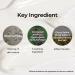 Oat Kernel Ferment Essence for Dry Skin | Moisturizing Korean Serum with Niacinamide | Lightweight 1.75 Oz Face Moisturizer - Buy Online on GoSupps.com