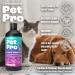 Dirtbusters Pet Pro Urine & Odour Destroyer Enzyme Cleaner For Carpet & Upholstery Neautralise & Remove Pet Dog & Cat Odours At Source With Reactivating Enzymatic Treatment (1L) - Buy Online on GoSupps.com