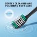 10 Pack Black Replacement Toothbrush Heads for AquaSonic Electric Toothbrush - Buy Online on GoSupps.com