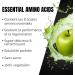 EAA powder GREEN APPLE 500gr - essential amino acids - 11gr of protein per serving - no bad aftertaste - vegan & - Buy Online on GoSupps.com