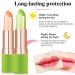 ZARICS Aloe Vera Lipstick Set A - Color Changing Lip Balm Moisturizing Korean Lip Tint | Crystal Jelly Lip Stain Waterproof Magic PH Lipstick for Women - Buy Online on GoSupps.com