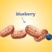 belVita Blueberry Breakfast Biscuit Bites - 6 Boxes (5 Packs Each) | Healthy Snack - Buy Online on GoSupps.com