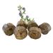 Lax meadow products Lucerne blocks with horses for horses I refill pack for jumping ropes I Healthy roughage snacks from 100% lucerne i supplementary feed i horse mecker -free i 3kg 3 kg (refill pack)