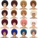 70s Afro Wig for Black Women - Bouncy & Soft Natural-Looking Full Wig for Daily Party Cosplay - G&T Wig (1B) - Buy Online on GoSupps.com