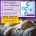Cat Calming Supplement - Cat Sedative for Grooming Melatonin Liquid for Stress Relief & Sleep Aid Promotes Rest & Relaxation 2.02fl oz - Buy Online on GoSupps.com