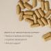 Wild Nutrition Food-Grown Breastfeeding Vitamins | Post Natal Energy & Immune Support | 90 Capsules - Buy Online on GoSupps.com