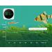 Digital Aquarium Thermometer with LED Display - High Accuracy to 0.9F - Wireless - Ideal for Fish, Axolotl, Turtle Tank - Fahrenheit Measurement - Buy Online on GoSupps.com
