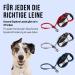 Buy High-Quality 7.5m Cong Roll-Out Dog Leash for Large Dogs up to 50kg | Comfortable Soft Handle & Reflective Belt in Red | Secure Break & Lock System - Buy Online on GoSupps.com